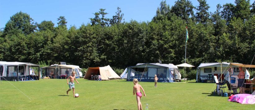 Molecaten Park Flevostrand is een kindvriendelijk vakantiepark en camping met binnen- en buitenzwembad gelegen aan het Veluwemeer in de provincie Flevoland.