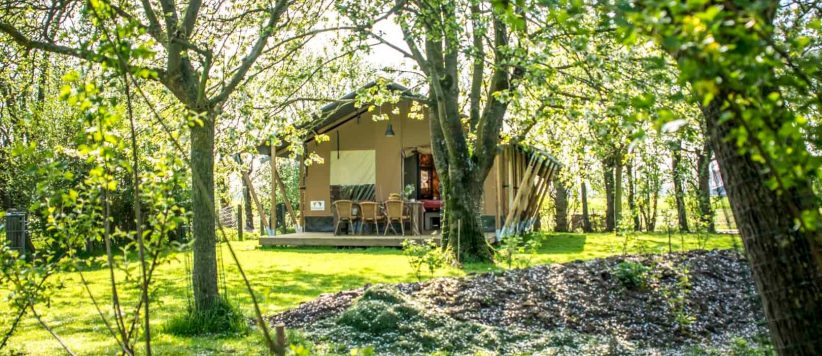 Fraai gelegen safaritent voor maximaal 6 personen midden in natuur tussen de boomgaarden en akkervelden op een kleinschalig vakantiepark in Zeeland.