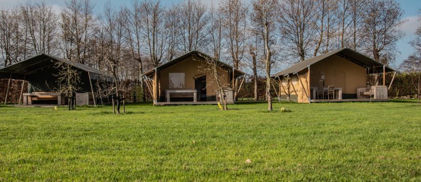 Kleinschalig vakantiepark in West-Friesland met kleine camping en safarilodges te huur. Kom logeren tussen de fruitbomen!