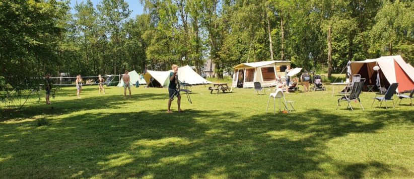 Leuke kleinschalige camping in Kollum in het Friese Woudenlandschap omringd door prachtige bomen en smalle weilanden.
