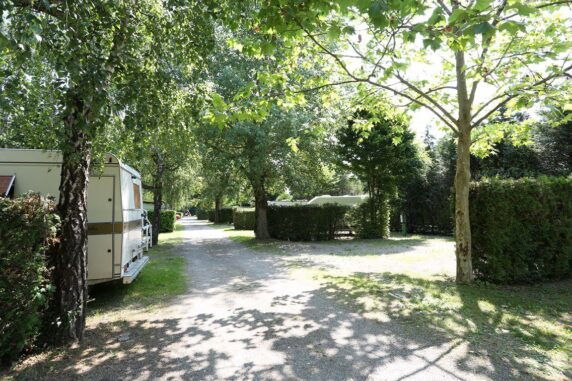 Camping La Chaumière - photo 6