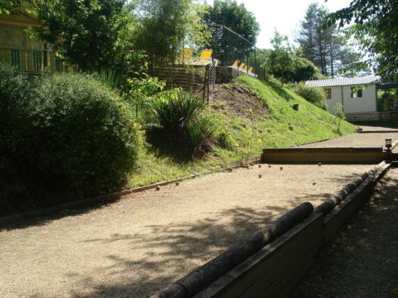 Photo 8