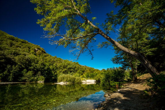 Camping Les Plans - photo 26