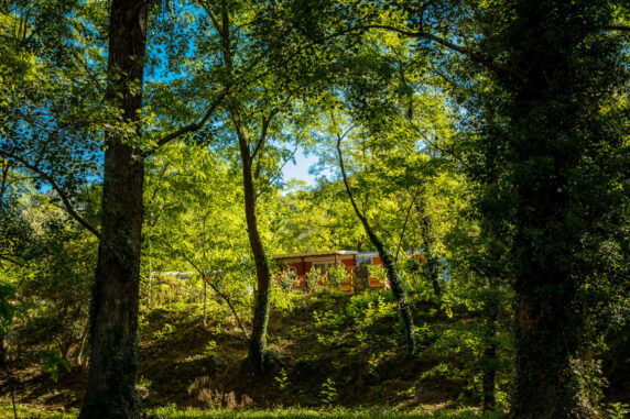 Camping Les Plans - photo 8