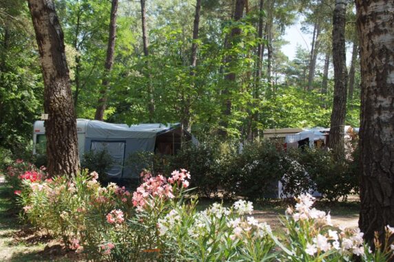 Camping Le Ruou - photo 3
