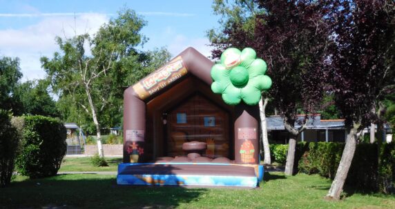 Flower Camping Le Vieux Moulin - photo 3