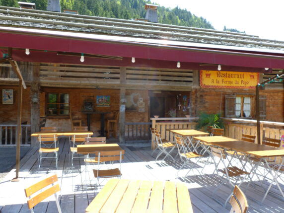 Photo 11