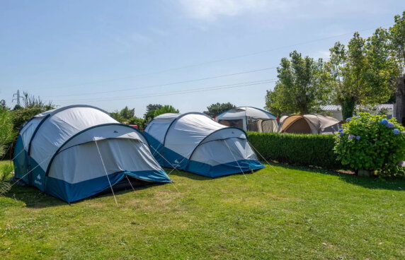 Flower Camping Vitamin - photo 1