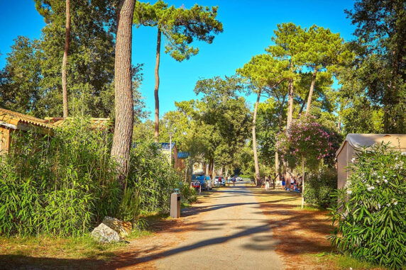 Camping La Pinède - photo 8