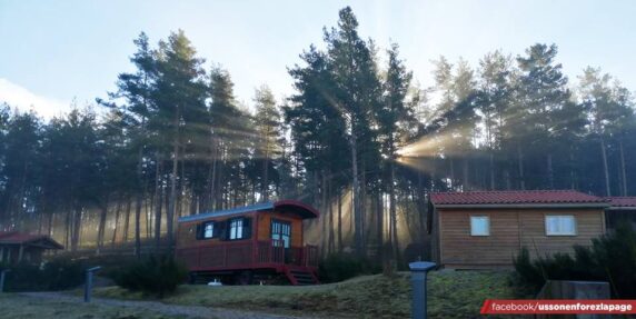 Camping Les Chalets du Haut-Forez - photo 4