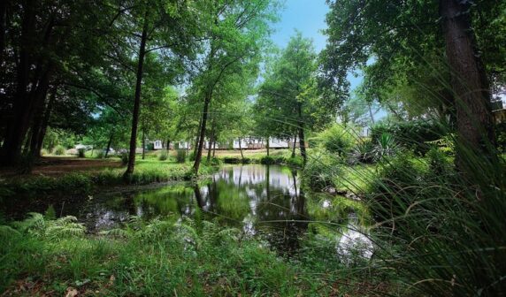 Homair Le Soleil des Landes - photo 10