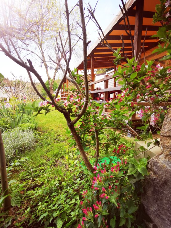 Domaine de la Plage - photo 24