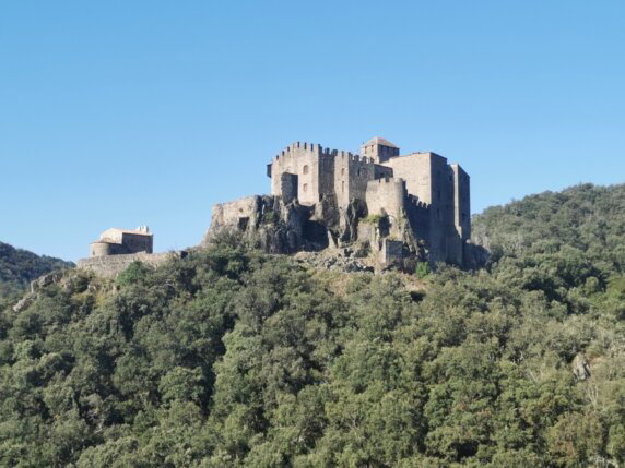 Domaine de la Plage - photo 32