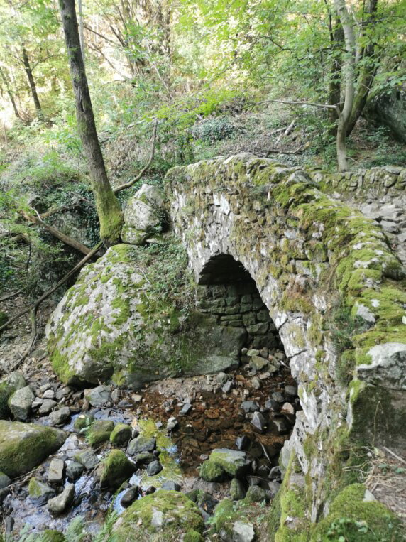 Domaine de la Plage - photo 33