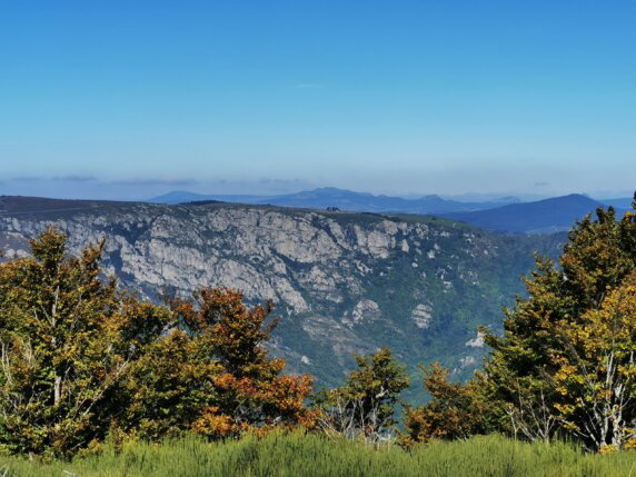 Domaine de la Plage - photo 29