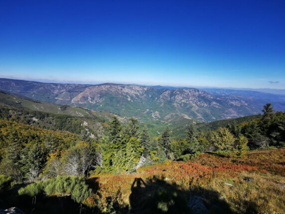 Domaine de la Plage - photo 28