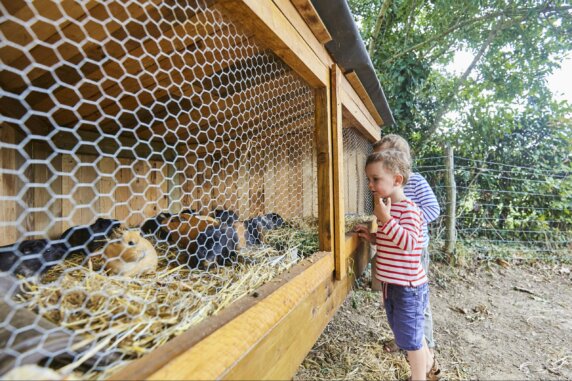 Camping La Ferme de Lann Hoëdic - photo 4