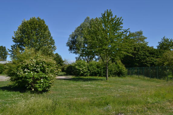 Camping Parc des Cygnes - photo 2