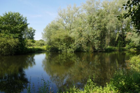 Camping Parc des Cygnes - photo 6