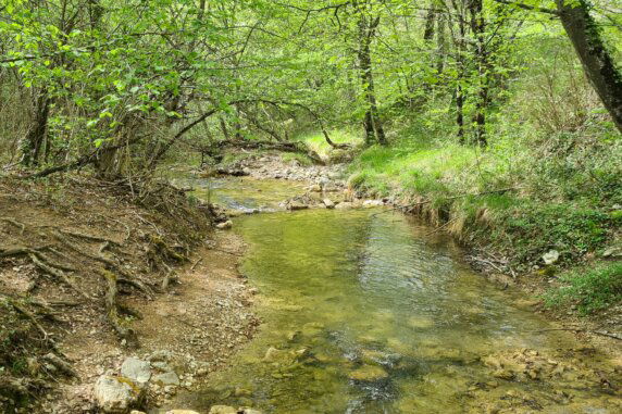 Camping Le Gallo Romain - photo 3