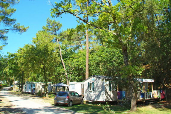 Camping Les Pins de la Coubre - photo 7