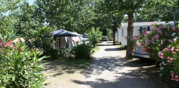 Camping Les Romarins - photo 4