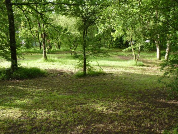 Camping Le Nid Vert - photo 2