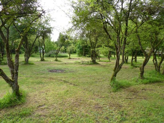 Camping Le Nid Vert - photo 3
