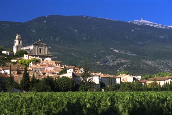 Domaine de Bélézy - photo 10