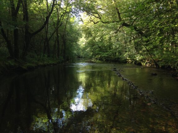 Camping Au Bois de Calais - photo 12