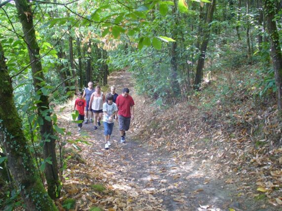 Camping Le Rouge Gorge - photo 13