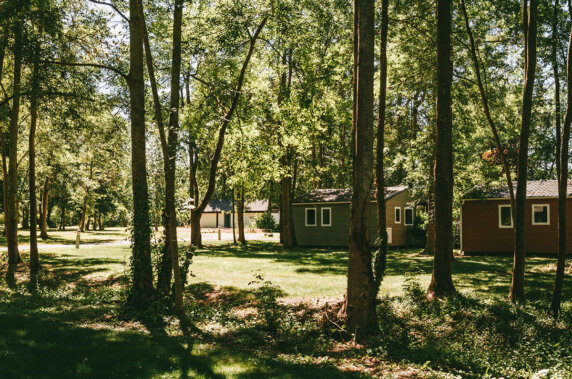 Moncontour Active Park - photo 8