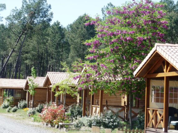 Landes Océanes - photo 3