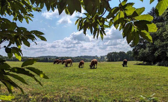 Camping La Bucherie - photo 25