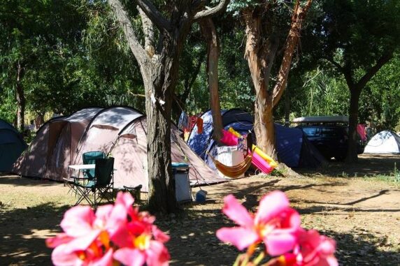 Camping L&#8217;Ile d&#8217;Or - photo 1