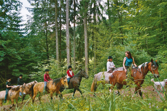 Ferienparadies Schwarzwälder Hof - photo 21