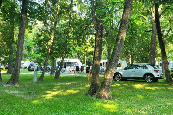 Camping du Lion - photo 1