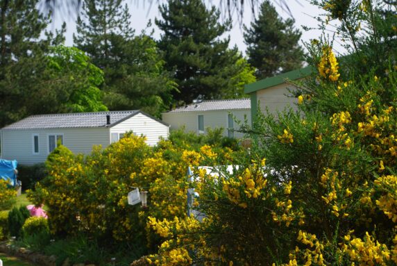 Camping Le Domaine des Jonquilles - photo 3