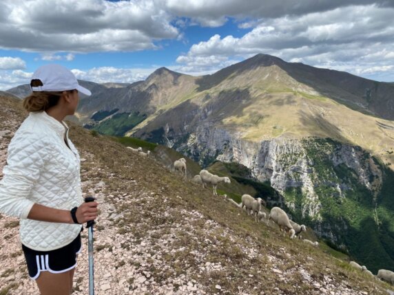 Agriturismo Sopra e Sotto - photo 14