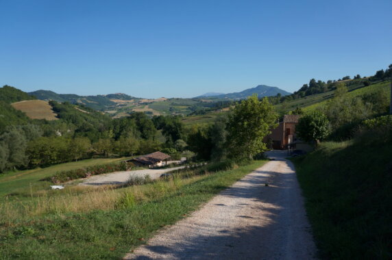 Agriturismo Sopra e Sotto - photo 5