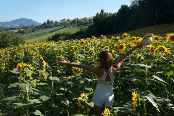 Agriturismo Sopra e Sotto - photo 7