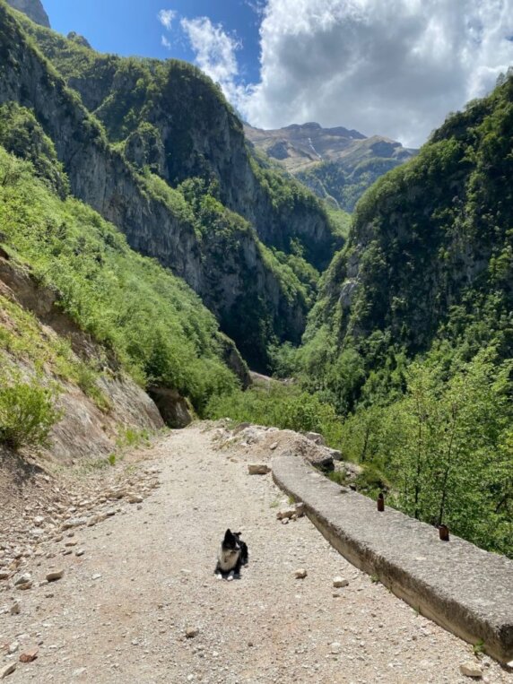 Agriturismo Sopra e Sotto - photo 11