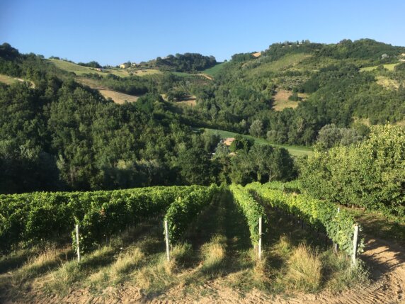 Agriturismo Sopra e Sotto - photo 12