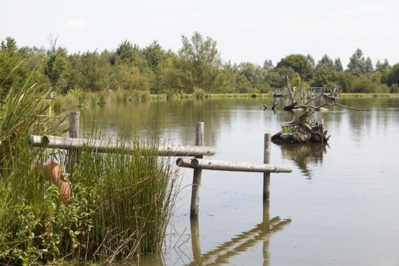 Natura Resort Pescalis - photo 9