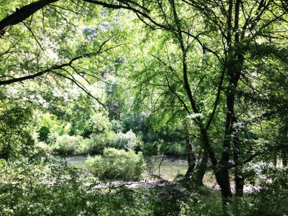 Camping Isis en Cévennes - photo 9