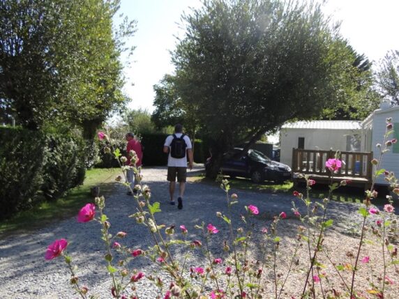 Camping Les Pins - photo 5