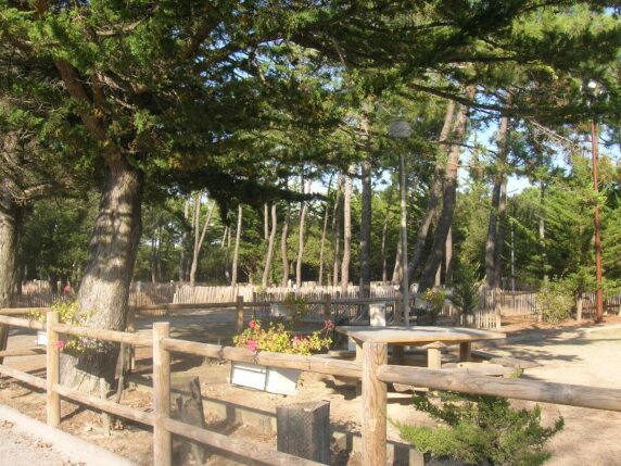 Camping de Sion - photo 1