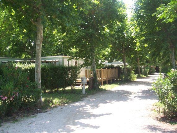 Camping Lou Comtadou - photo 10