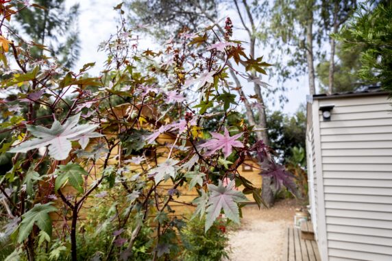 Camping de La Pascalinette® - photo 7