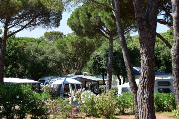 Yelloh! Village La Bastiane - photo 5